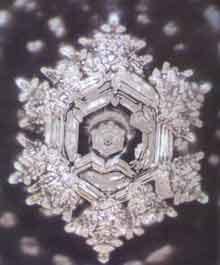 (c) Masaru Emoto - Hado.net