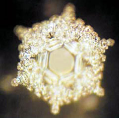 (c) Masaru Emoto - Hado.net