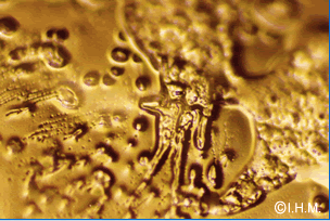 (c) Masaru Emoto - Hado.net