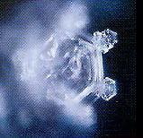 (c) Masaru Emoto - Hado.net
